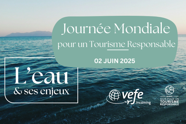 Vignette article blog JMTR 2025 - VEFE INCOMING