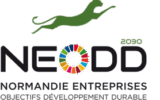 LOGO - NEODD 2030